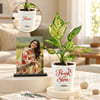 Personalized Diwali Frame & Plant Set