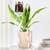 Shop Personalized Dracaena And Fridge Magnet Combo