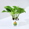 Shop Personalized Evergreen Love Combo For Dad