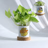 Personalized Father's Day Money Plant With Ceramic Planter Online
