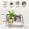 Gift Personalized Father's Day Photo Swing Planter