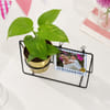 Shop Personalized Father's Day Photo Swing Planter