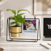 Personalized Father's Day Photo Swing Planter