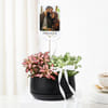 Buy Personalized Fittonia Oasis And Fridge Magnet Combo