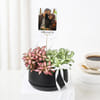 Personalized Fittonia Oasis And Fridge Magnet Combo Online