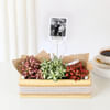 Buy Personalized Fittonia Trio And Fridge Magnet Combo