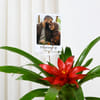 Gift Personalized Fridge Magnet And Striking Red Guzmania Planter