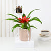 Personalized Fridge Magnet And Striking Red Guzmania Planter Online