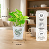 Gift Personalized Ganpati's Garden Money Plant
