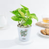 Shop Personalized Ganpati's Garden Money Plant