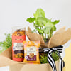 Buy Personalized Garden of Memories Hamper