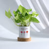 Buy Personalized Garden Planter with 3 Names