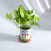 Shop Personalized Garden Planter with 3 Names