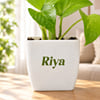 Shop Personalized Goddess Energy Money Plant