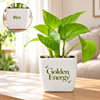 Personalized Goddess Energy Money Plant