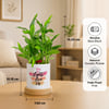 Shop Personalized Gold Frame & Lucky Bamboo Diwali Combo