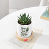 Buy Personalized Good Karma Zebra Succulent