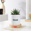 Shop Personalized Good Karma Zebra Succulent