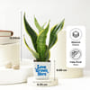 Shop Personalized Growing Love Frame and Plant Set