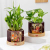 Gift Personalized High Court And Supreme Court Karwa Chauth Planters