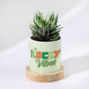 Personalized Lucky Vibes - Haworthia Succulent With Planter For Mom Online