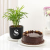 Personalized Lush Plant And Cake Combo