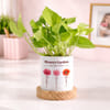 Personalized Mama Flourishing Money Plant with Pot