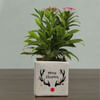 Shop Personalized Merry Christmas Planters