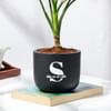 Shop Personalized Midnight Clay Pot With Aglaonema Plant