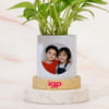 Shop Personalized Money Planter with Swirl Rakhi Combo