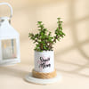 Shop Personalized Mother's Day Jade Plant With Pot