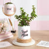 Personalized Mother's Day Jade Plant With Pot