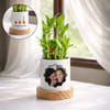 Personalized Mother's Day Lucky Bamboo Plant