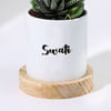 Gift Personalized Panda Ceramic Planter With Haworthia Plant