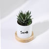 Shop Personalized Panda Ceramic Planter With Haworthia Plant