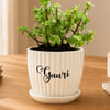 Buy Personalized Path Blooming Jade Plant