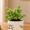 Shop Personalized Path Blooming Jade Plant