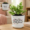 Personalized Path Blooming Jade Plant