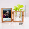 Buy Personalized Photo Frame For Family With Money Plant