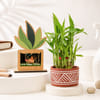 Personalized Plant Frame and Bamboo Plant Combo