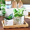 Gift Personalized Planter Without Plants For Teacher (Set of 2)