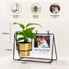 Gift Personalized Polaroid Money Plant Swing Planter