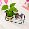 Buy Personalized Polaroid Money Plant Swing Planter