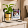 Shop Personalized Polaroid Money Plant Swing Planter