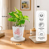 Gift Personalized Pot Full of Bappa's Blessing Money Plant