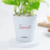 Buy Personalized Pot Full of Bappa's Blessing Money Plant
