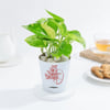 Shop Personalized Pot Full of Bappa's Blessing Money Plant