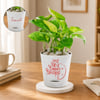 Personalized Pot Full of Bappa's Blessing Money Plant