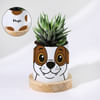 Personalized Puppy Ceramic Planter With Haworthia Plant Online