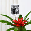 Gift Personalized Red Guzmania Plant And Fridge Magnet Combo